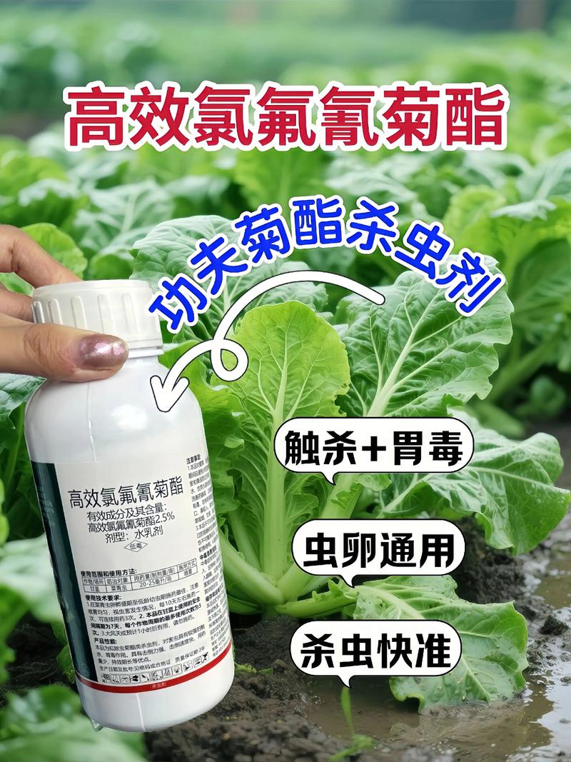 泸州代生中心:农药对供卵代生妈妈的危害